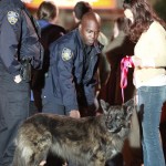 ImageBam image upload