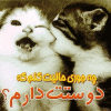 free image host