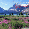 free image host