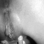 Amateur Pictures