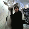 David & Reindeer/Harry Potter's stag patronus