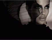 53557124577445.gif
