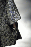 6a639129081417.gif