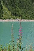 674c9a46655324.gif