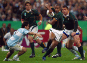 2dd29c46708524.gif