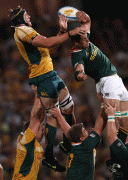 06545847911381.gif