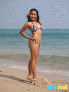 free image host