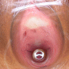 03e2bf8231844.gif